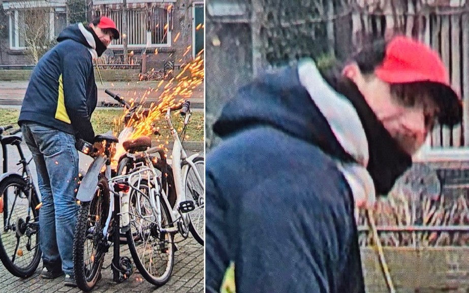 Diefstal elektrische fiets - Boschdijk - Eindhoven