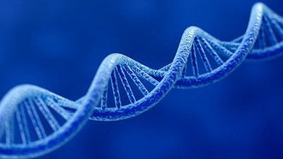 dna, Foto: Korpsmedia politie / istock