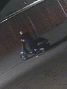 Diefstal scooter – Asselsestraat – Apeldoorn