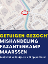 Mishandeling - Fazantenkamp - Maarssen